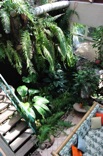 The stair elevation, landing and internal balcony create a rise and rest through the waterfall and garden space … The stair elevation, landing and internal balcony create a rise and rest through the waterfall and garden space …